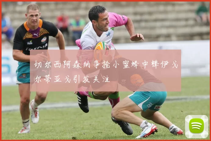 切尔西阿森纳争抢小蜜蜂中锋伊戈尔蒂亚戈引发关注