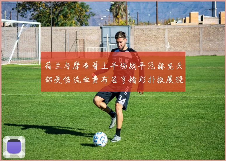 荷兰与摩洛哥上半场战平范赫克头部受伤流血费布吕亨精彩扑救展现实力