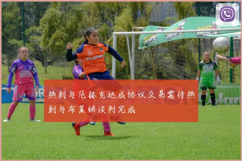 热刺与范赫克达成协议交易需待热刺与布莱顿谈判完成