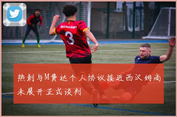 热刺与M费达个人协议接近西汉姆尚未展开正式谈判