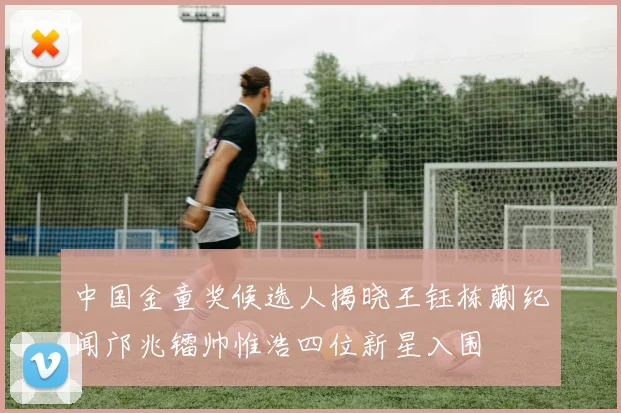 梅洛强调内马尔在世界杯名单中的关键角色与重要性引发广泛关注