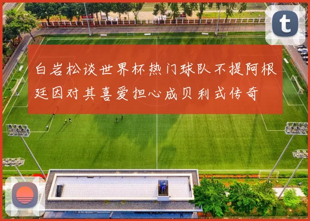 白岩松谈世界杯热门球队不提阿根廷因对其喜爱担心成贝利式传奇